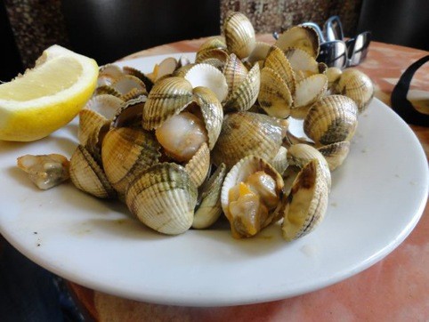 bar mundial qué se cuece en barcelona bcn restaurantes (19)