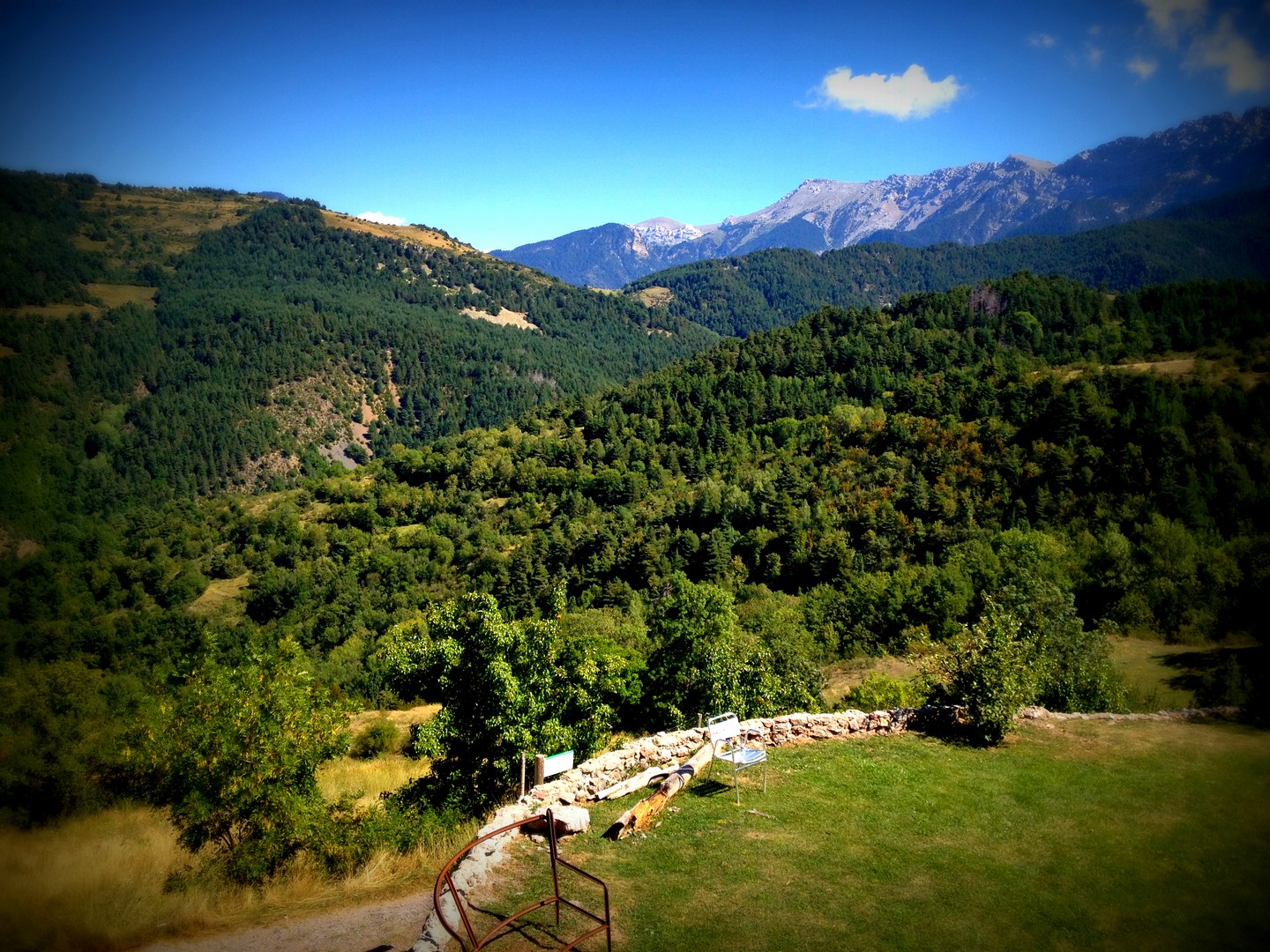 querforadat cerdanya que se cuece en bcn (2)
