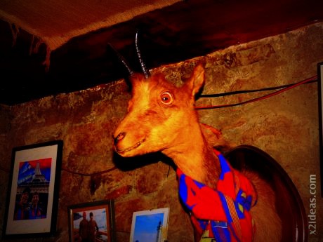 EL RINCÓN CERLER RESTAURANTE QUE SE CUECE EN BCN MARTA CASALS (20)